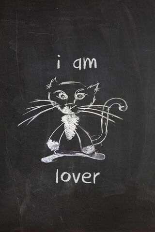 Pawsitively Adorable: The Cat Lover's Delight 🐾❤️