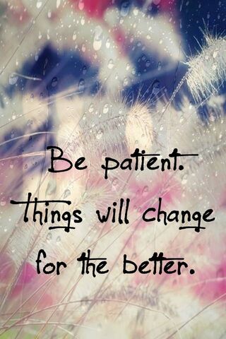 Embrace the Journey: Patience Pays Off 🌼✨