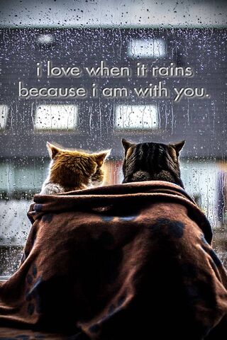 Cozy Companionship on R..