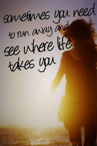 Embrace the Journey 🌅✨