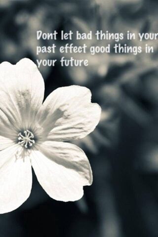 Blooming Beyond Shadows