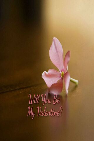 A Sweet Valentine’s Whisper 🌸