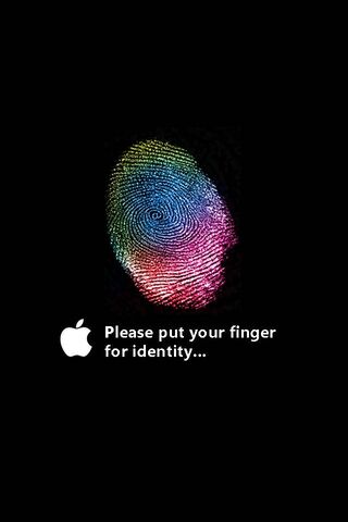 Идентичность пальца