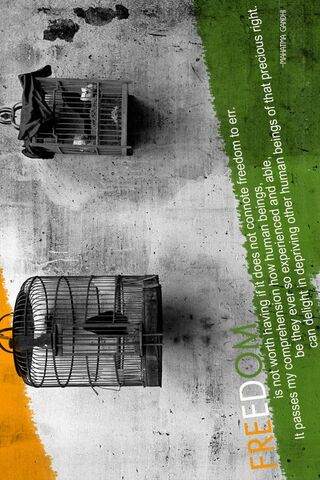 Caged Freedom: A Tribute to Liberation