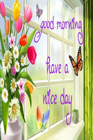 Morning Bliss 🌼✨