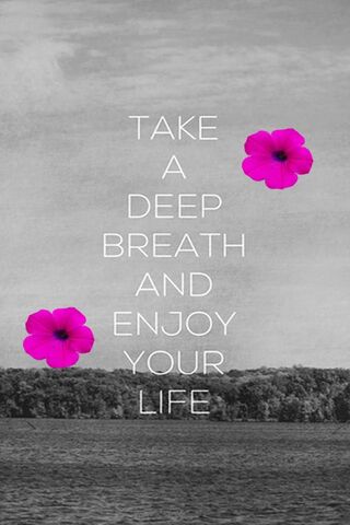 Breathe in Serenity 🌸