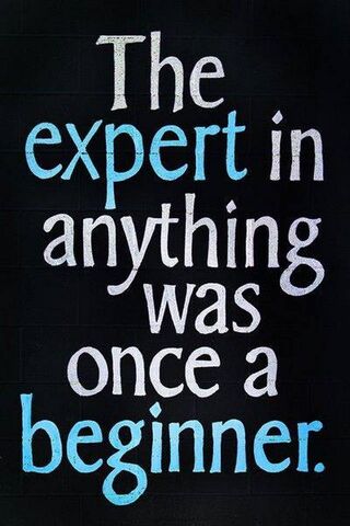 From Beginner to Expert: The Journey of Mastery