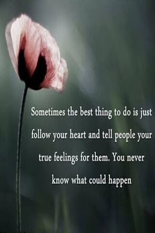 Embrace Your True Feelings 🌸