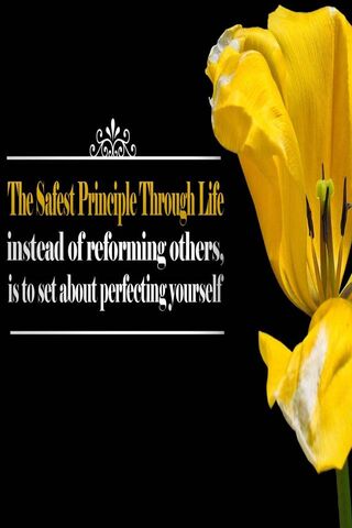 Blooming Wisdom: Perfecting Yourself 🌼