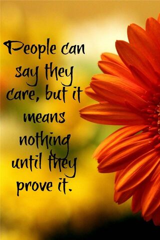Words of Wisdom 🌼✨