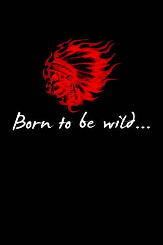 Embrace the Wild Spirit..
