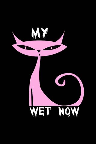 Sassy Cat Vibes 🐾