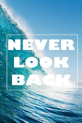 Ride the Wave of Life 🌊