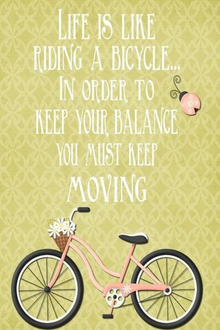 Keep Moving Forward 🚴 ✨