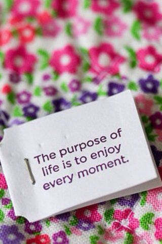 Enjoy Moment