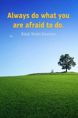 Embrace Your Fears 🌳✨