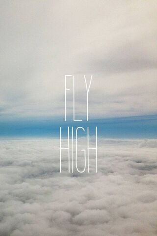 Soaring Above the Clouds ☁️✈️