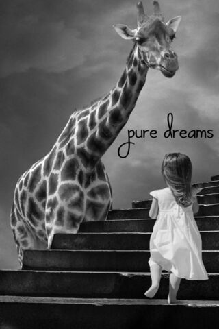 Pure Dreams