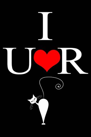 Purrfect Love: A Fun Cat Sign 🐾❤️