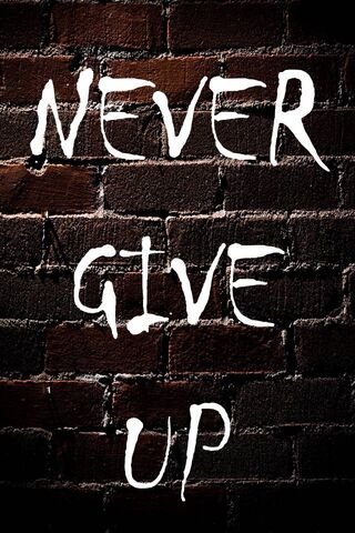 Persistence in Every Stroke