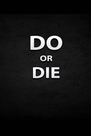 The Ultimate Choice: Ac..