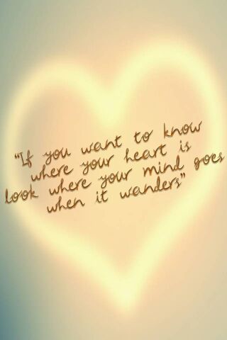 Wandering Thoughts of the Heart 💖🧠