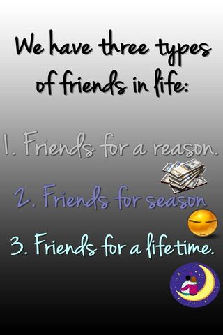The Three Types of Frie..