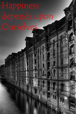 The Reflection of Happiness