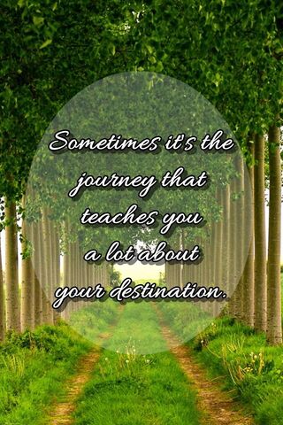 The Path to Discovery 🌳✨