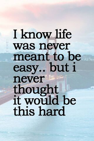 Navigating Life's Challenges 🌉✨