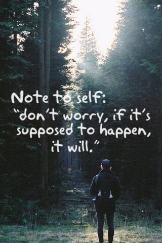 Embrace the Journey 🌲✨