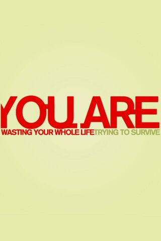 Survival vs. Living: A Wake-Up Call