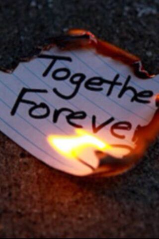 Eternal Bonds: A Flame ..