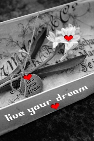 Chasing Dreams with Love 🌼❤️
