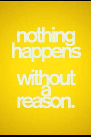 The Ripple of Reason 🌊✨