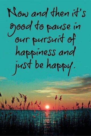 Embrace the Moment 🌅