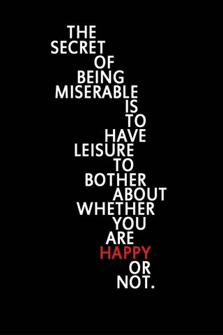 The Paradox of Happiness