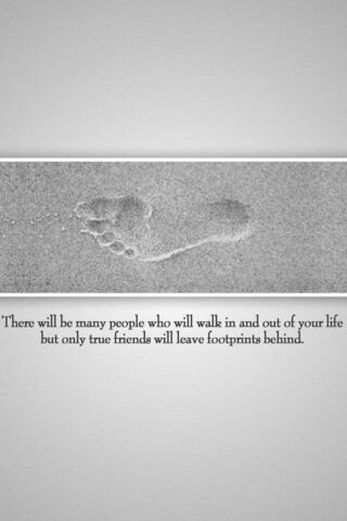 Imprints of Friendship 🌊👣