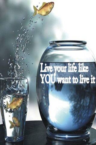 Embrace Your Journey 🌊🐟