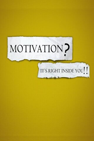 Unleash Your Inner Drive! 🚀