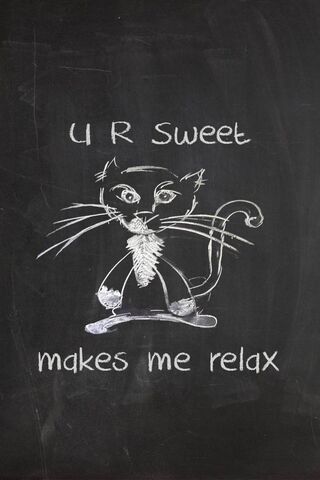 Charming Cat Comforts