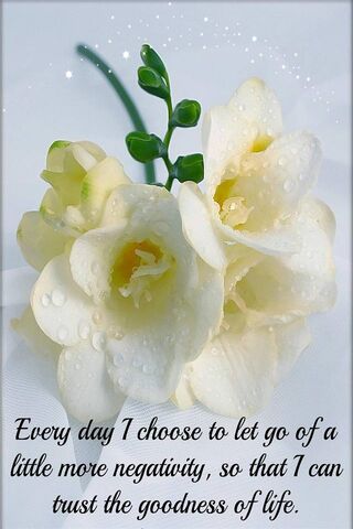 Embracing Positivity 🌼✨