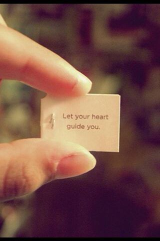 Follow Your Heart's Pat..