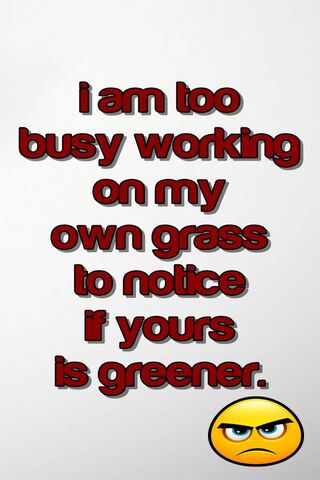 Focus on Your Own Path 🌱