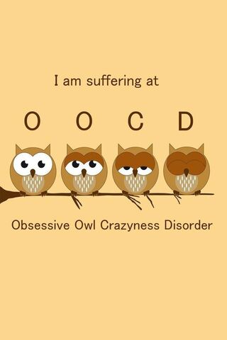 Owl Crazyness