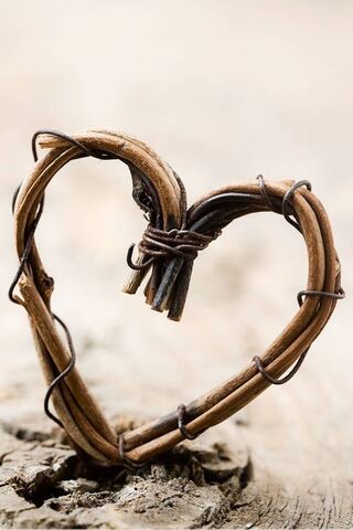 Nature's Love: A Heartf..