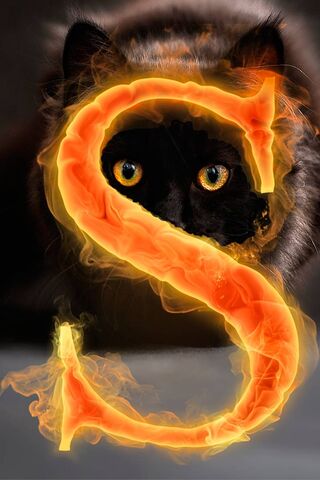 Sizzling S: The Enigmat..