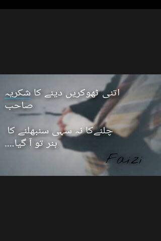 Daily Inspiration: Embrace Gratitude 🌟