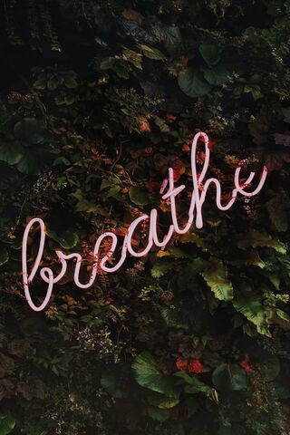 Breathe Light