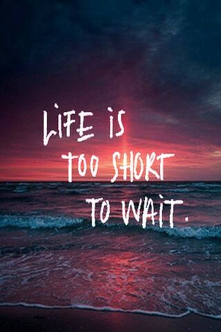 Seize the Moment 🌅